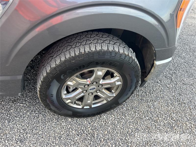 Ford F-150 Lariat 4x4 Crew Cab Pickup 其他