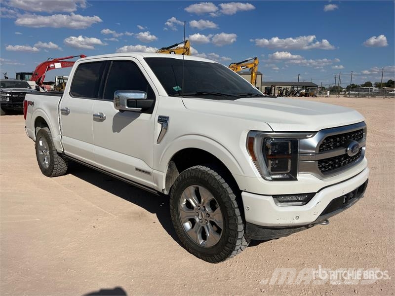 Ford F-150 Platinum 4x4 Crew Cab Pickup Прочие фургоны