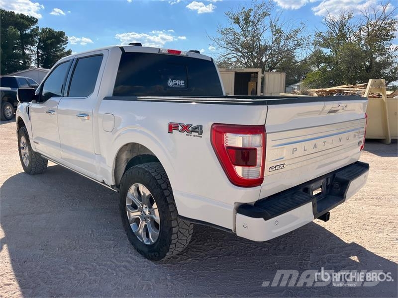 Ford F-150 Platinum 4x4 Crew Cab Pickup Прочие фургоны