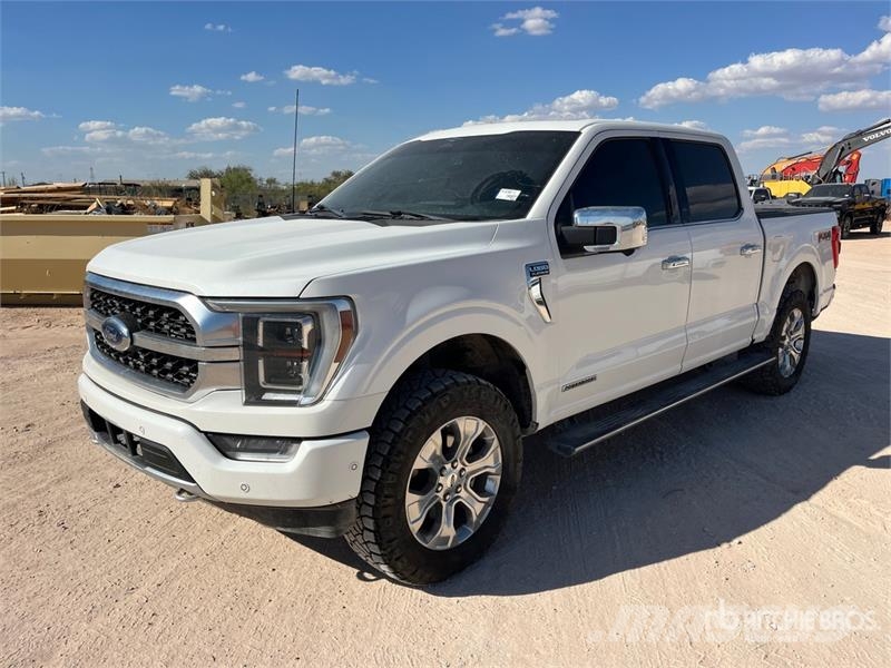 Ford F-150 Platinum 4x4 Crew Cab Pickup Прочие фургоны