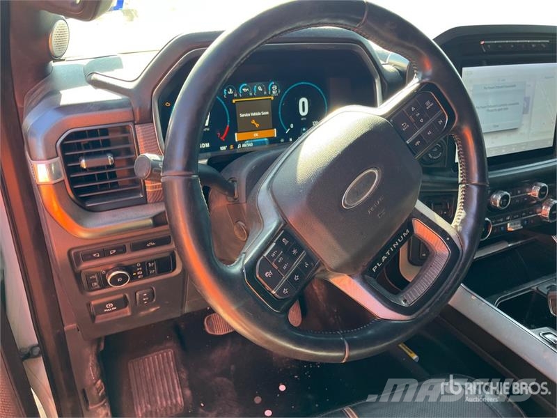 Ford F-150 Platinum 4x4 Crew Cab Pickup Прочие фургоны