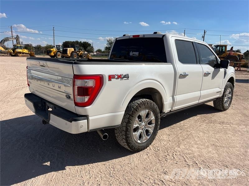 Ford F-150 Platinum 4x4 Crew Cab Pickup Прочие фургоны