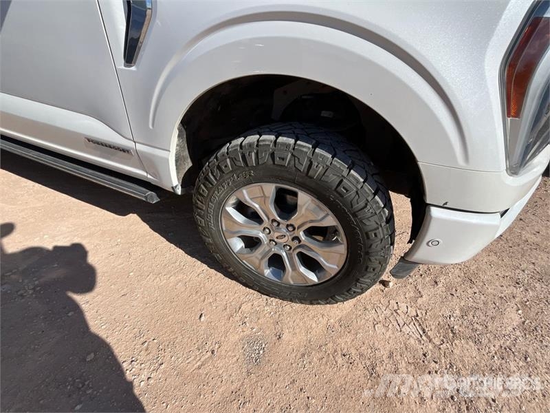 Ford F-150 Platinum 4x4 Crew Cab Pickup Прочие фургоны