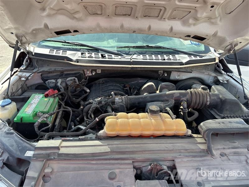 Ford F-150 XL 4x2 Crew Cab Pickup Furgoni altro