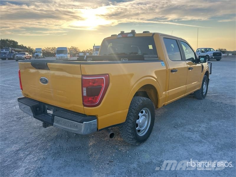 Ford F-150 XL 4x4 Crew Cab Pickup Altele