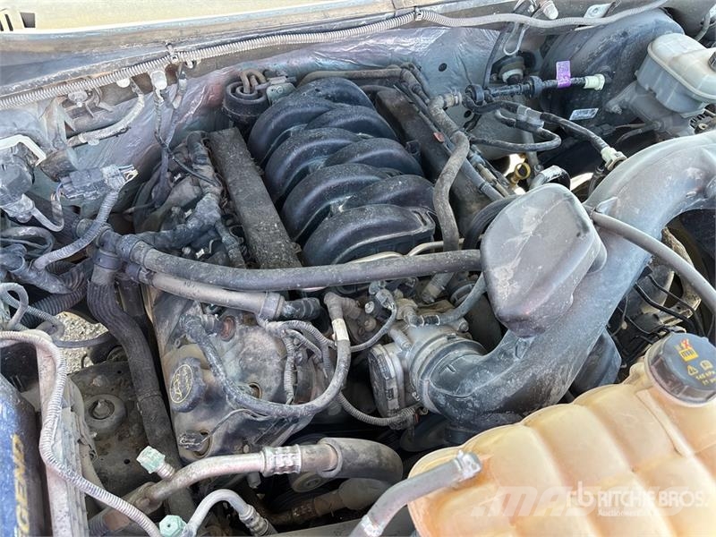 Ford F-150 XLT 4x2 Crew Cab Pickup 其他