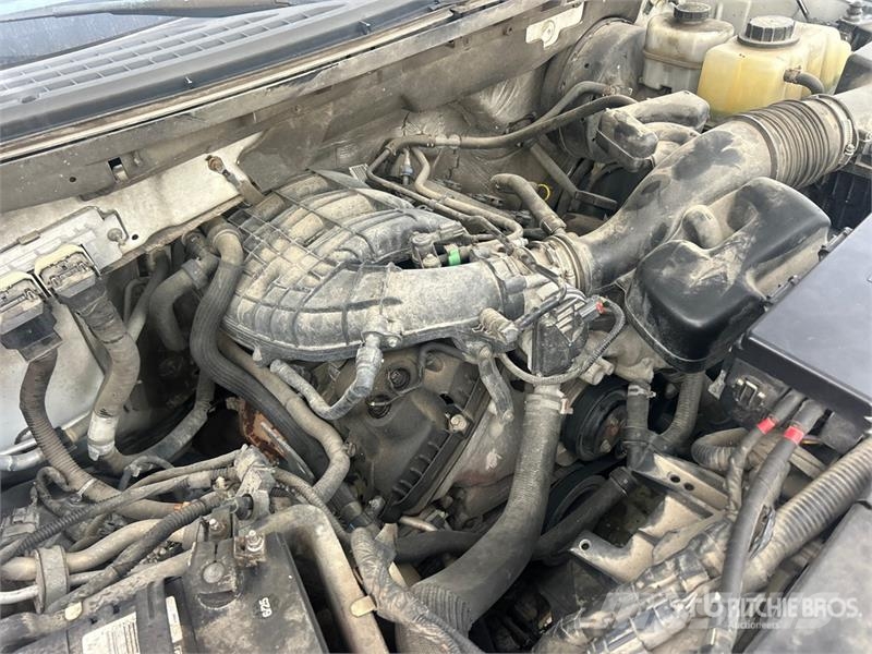 Ford F-150 XLT 4x2 Crew Cab Pickup 其他