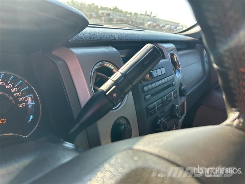 Ford F-150 XLT 4x4 Crew Cab Pickup Інше