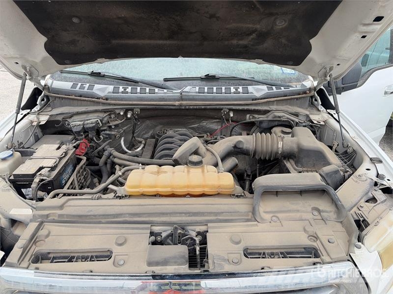 Ford F-150 XLT 4x4 Crew Cab Pickup Інше