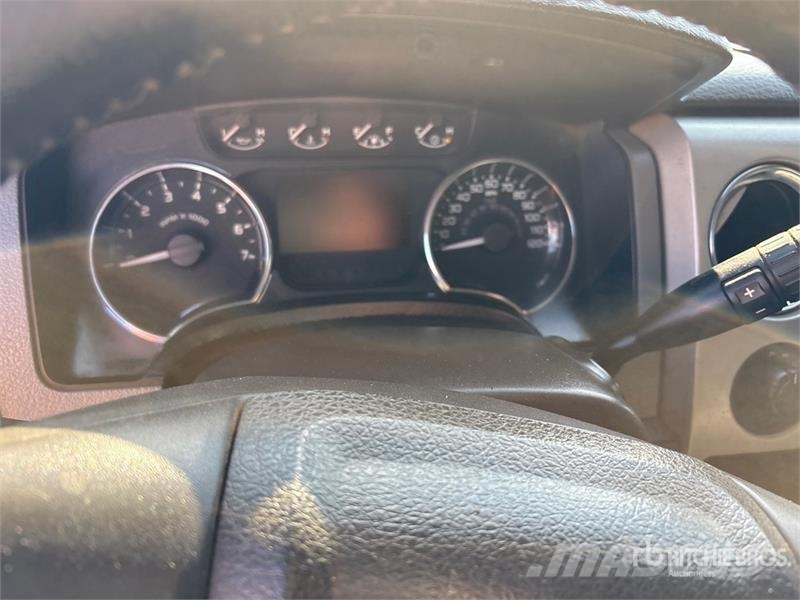 Ford F-150 XLT 4x4 Crew Cab Pickup Інше