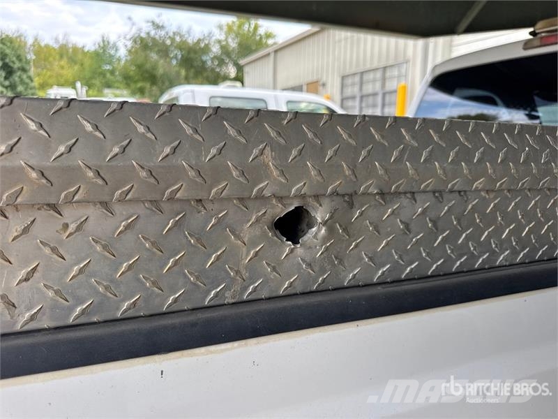 Ford F-250 4x2 Pickup 其他