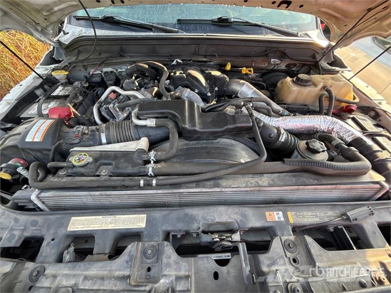 Ford F-250 King Ranch 4x2 Crew Cab Pickup (Inoperable) 其他