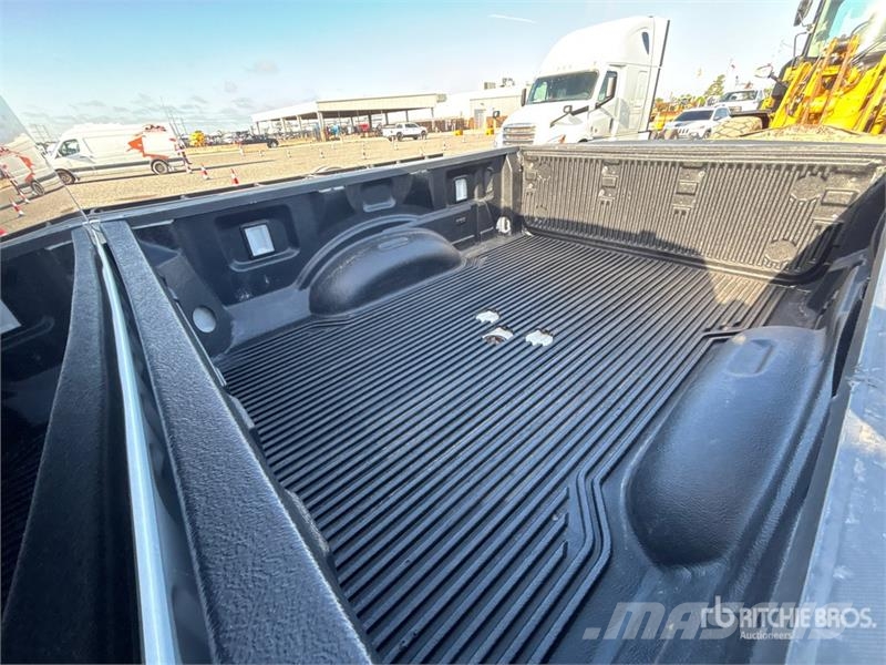 Ford F-250 STX 4x4 Crew Cab Pickup Furgoni altro