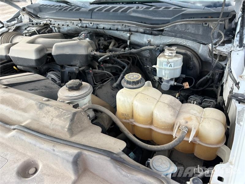Ford F-250 XL 4x2 Crew Cab Pickup 其他