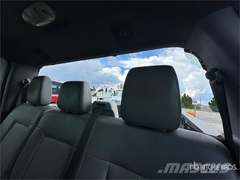 Ford F-250 XL 4x2 Crew Cab Pickup Furgoni altro