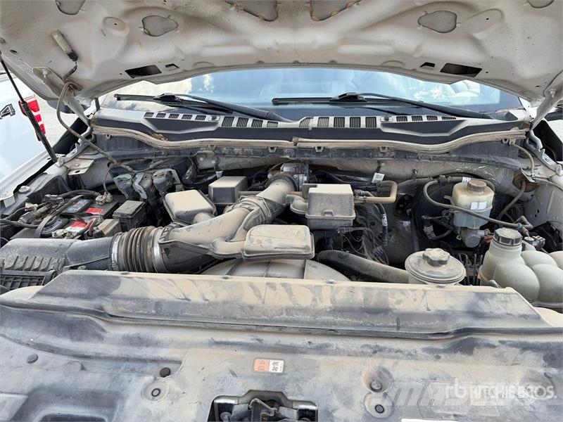 Ford F-250 XL 4x4 Crew Cab Pickup 其他