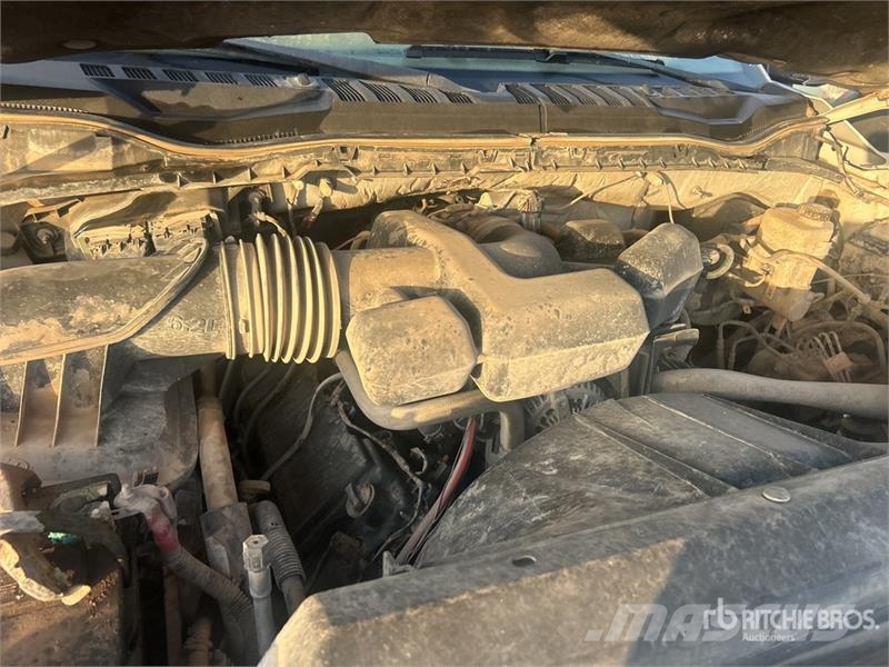 Ford F-250 XL 4x4 Crew Cab Pickup Furgoni altro
