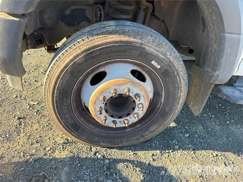 Ford F-450 Ciężarówki typu Platforma / Skrzynia