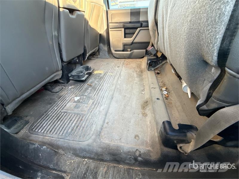 Ford F-450 Ciężarówki typu Platforma / Skrzynia