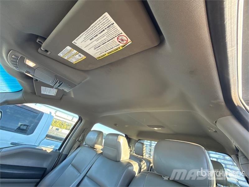 Ford F-450 Ciężarówki typu Platforma / Skrzynia