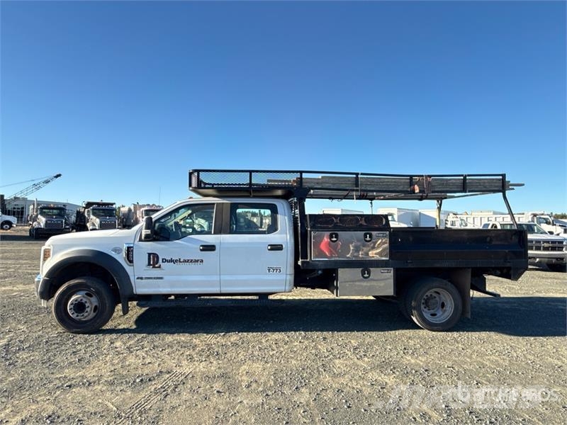 Ford F-450 Ciężarówki typu Platforma / Skrzynia