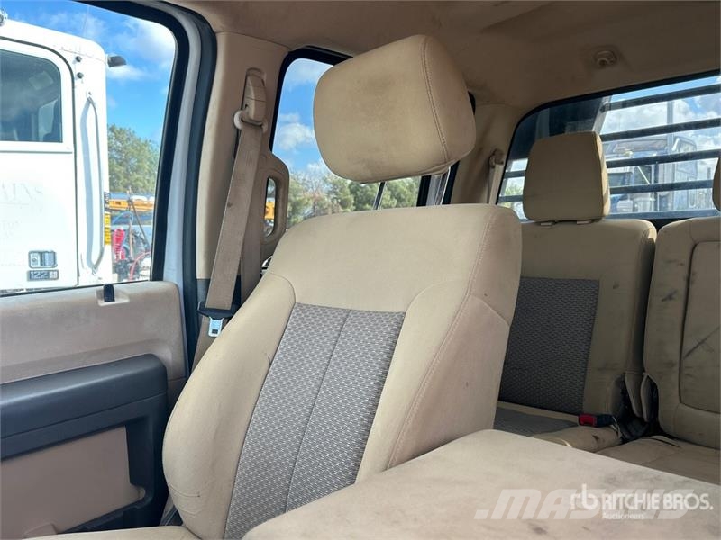 Ford F-450 Ciężarówki typu Platforma / Skrzynia