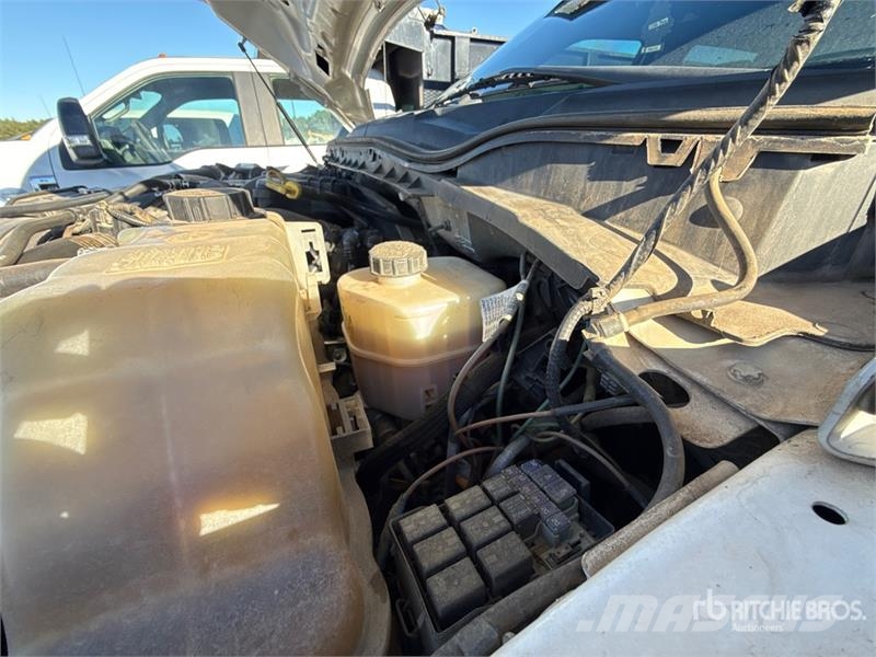 Ford F-550 Ciężarówki typu Platforma / Skrzynia