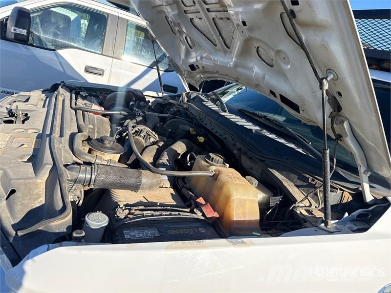 Ford F-550 Ciężarówki typu Platforma / Skrzynia