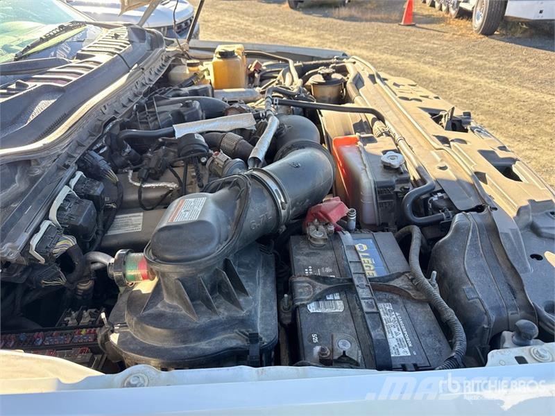 Ford F-550 Ciężarówki typu Platforma / Skrzynia