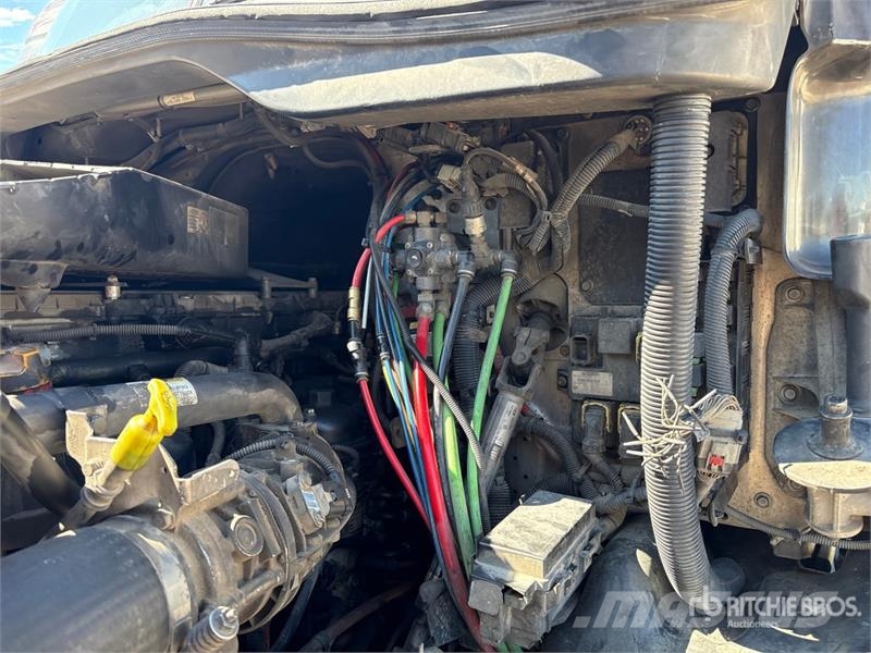 Freightliner Cascadia 113 Седельные тягачи