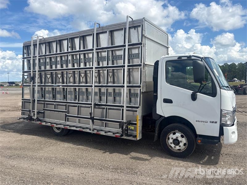 Hino 155 4x2 Glass Transportation Truck 기타 트럭