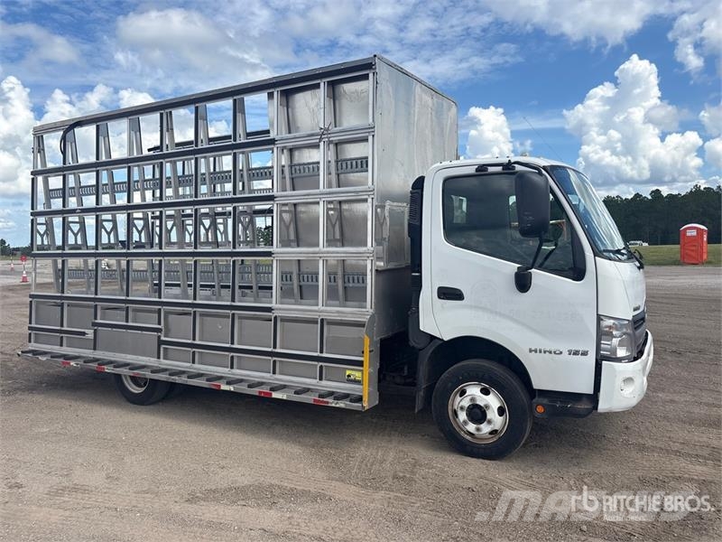 Hino 155 4x2 Glass Transportation Truck Други