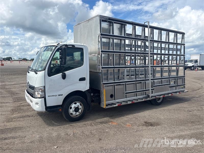 Hino 155 4x2 Glass Transportation Truck Други