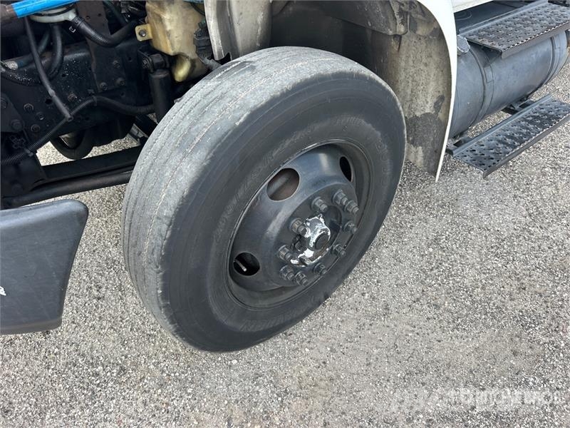 International 4300 Kühlkoffer