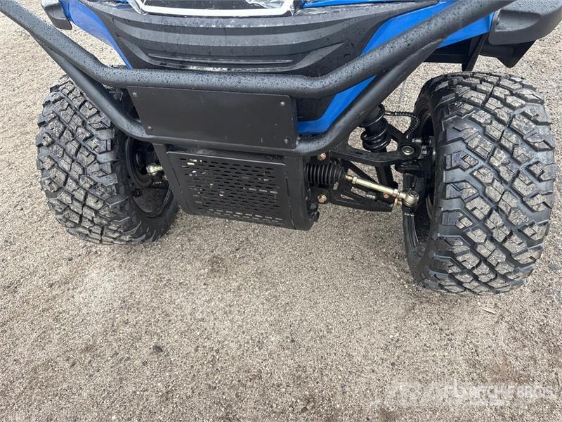 Orangeburg B1-4 Electric Golf Cart Golfwagen/Golfcart