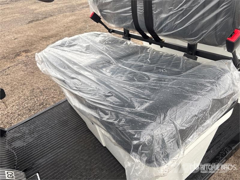 Orangeburg B1-4 Electric Golf Cart Golfwagen/Golfcart