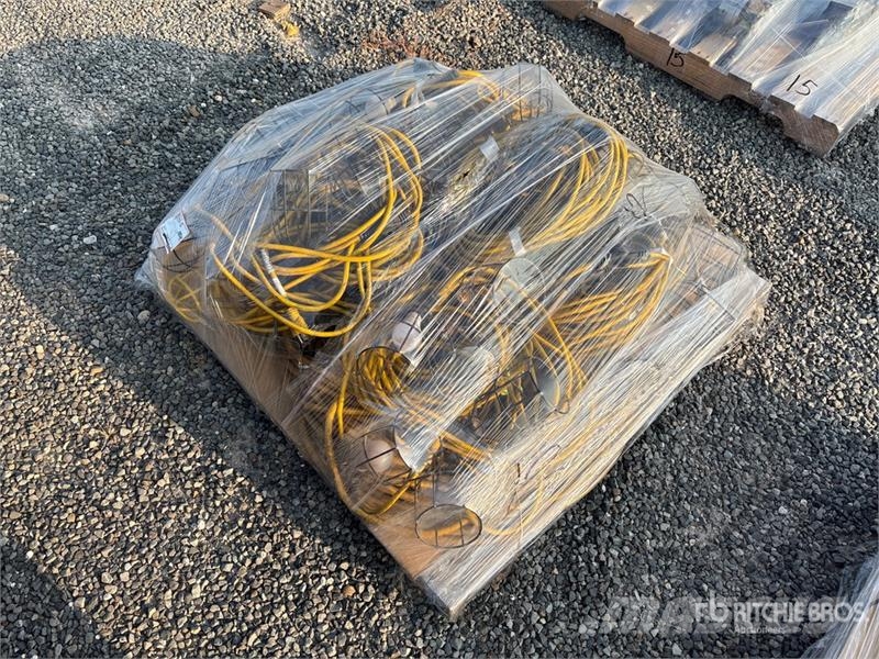 Quantity of 110 v String Lights Other components