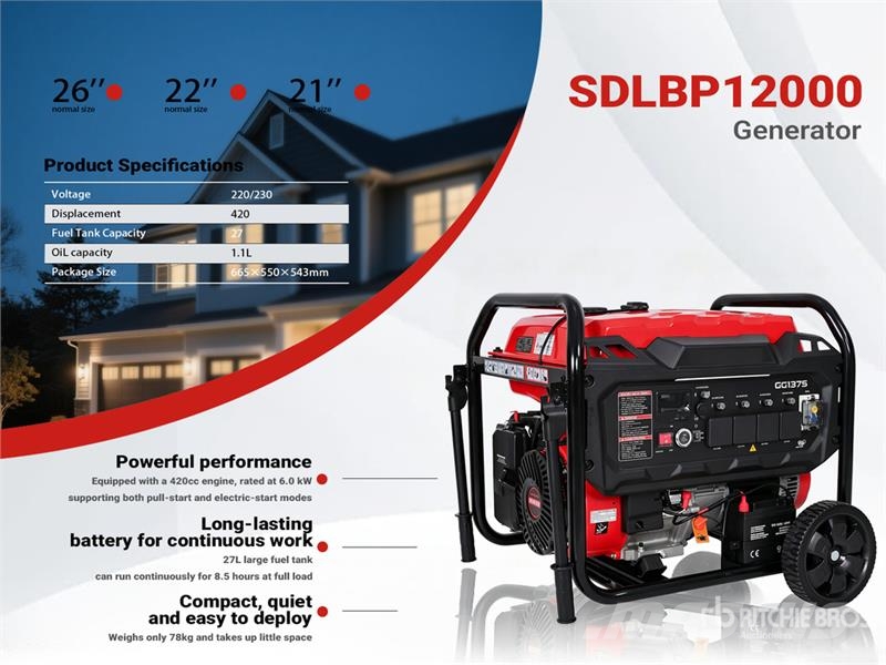 SDLBP12000 Gasoline Portable Generator Set (Unused Autres générateurs