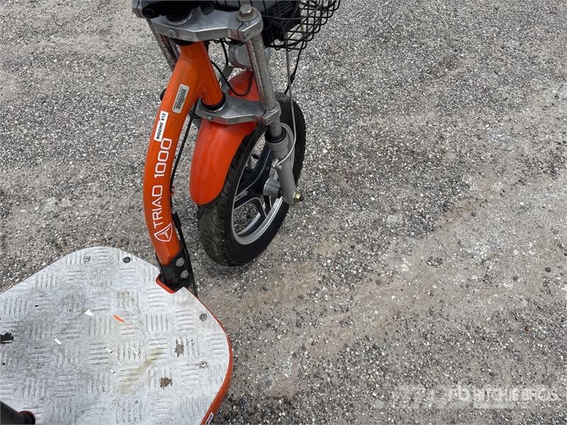 Triad 1000 Scooter Terenska vozila