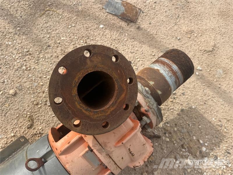 Berkeley of (3) Berkeley B4ZPBH Water Pump Waterpumps