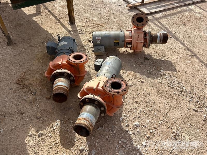 Berkeley of (3) Berkeley B4ZPBH Water Pump Waterpumps