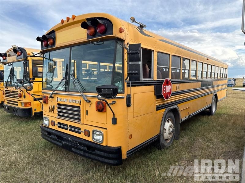 Blue Bird 4x2 37-Seat School Bus Mini autobusi