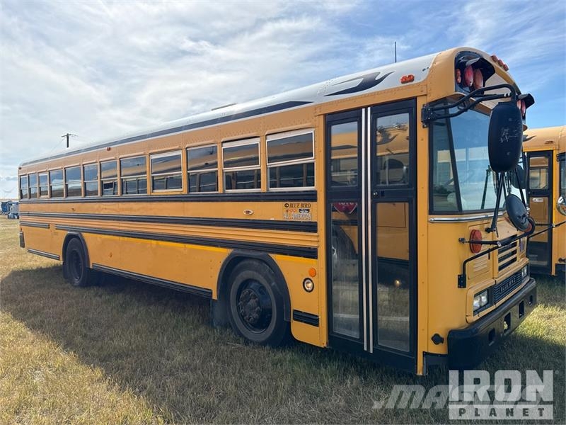 Blue Bird 4x2 48-Seat School Bus Mini avtobusi