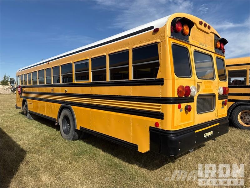Blue Bird 4x2 48-Seat School Bus Mini avtobusi