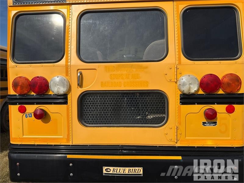 Blue Bird 4x2 48-Seat School Bus Mini avtobusi