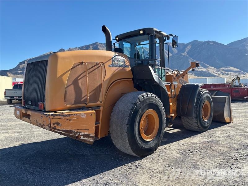 CASE 1021F Radlader