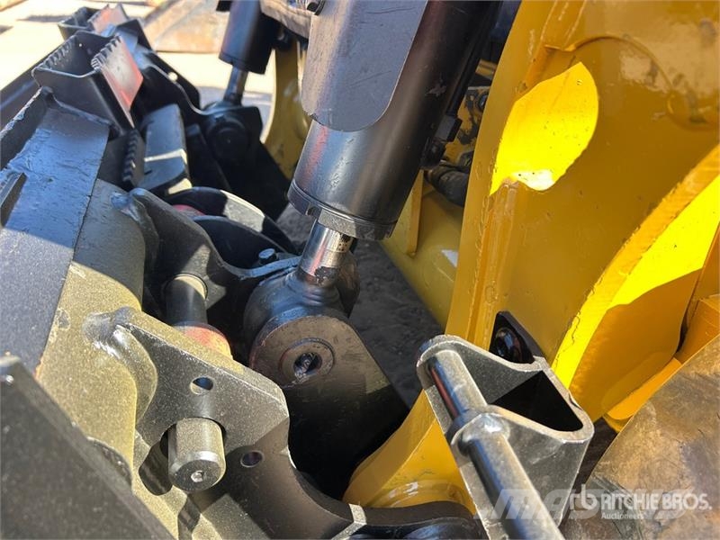 CAT 255 Mini Pale Gommate