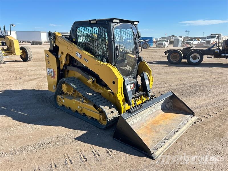 CAT 255 Mini Pale Gommate