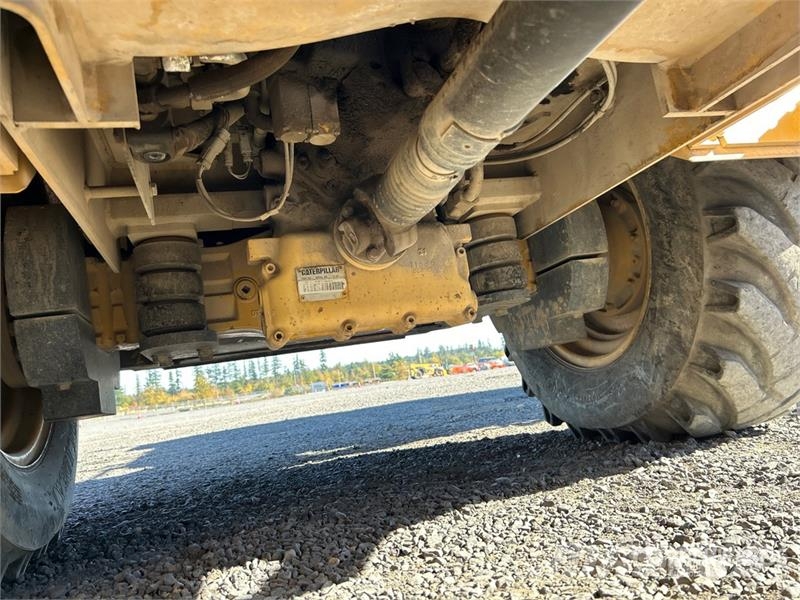CAT 906 Pale gommate