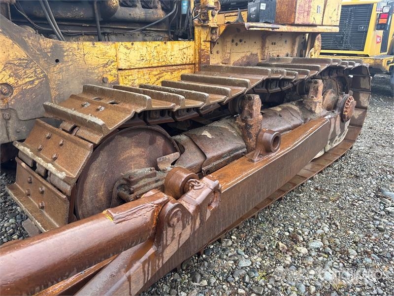 CAT D8 Bulldozer på larvebånd
